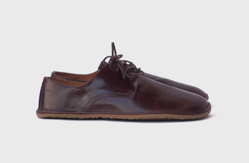Image of Plain Toe Derby in Glorious Brown