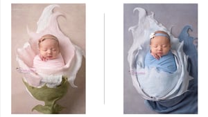 Image of THE MOST POPULAR Merino Silk Felted Layers