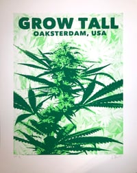 Grow Tall