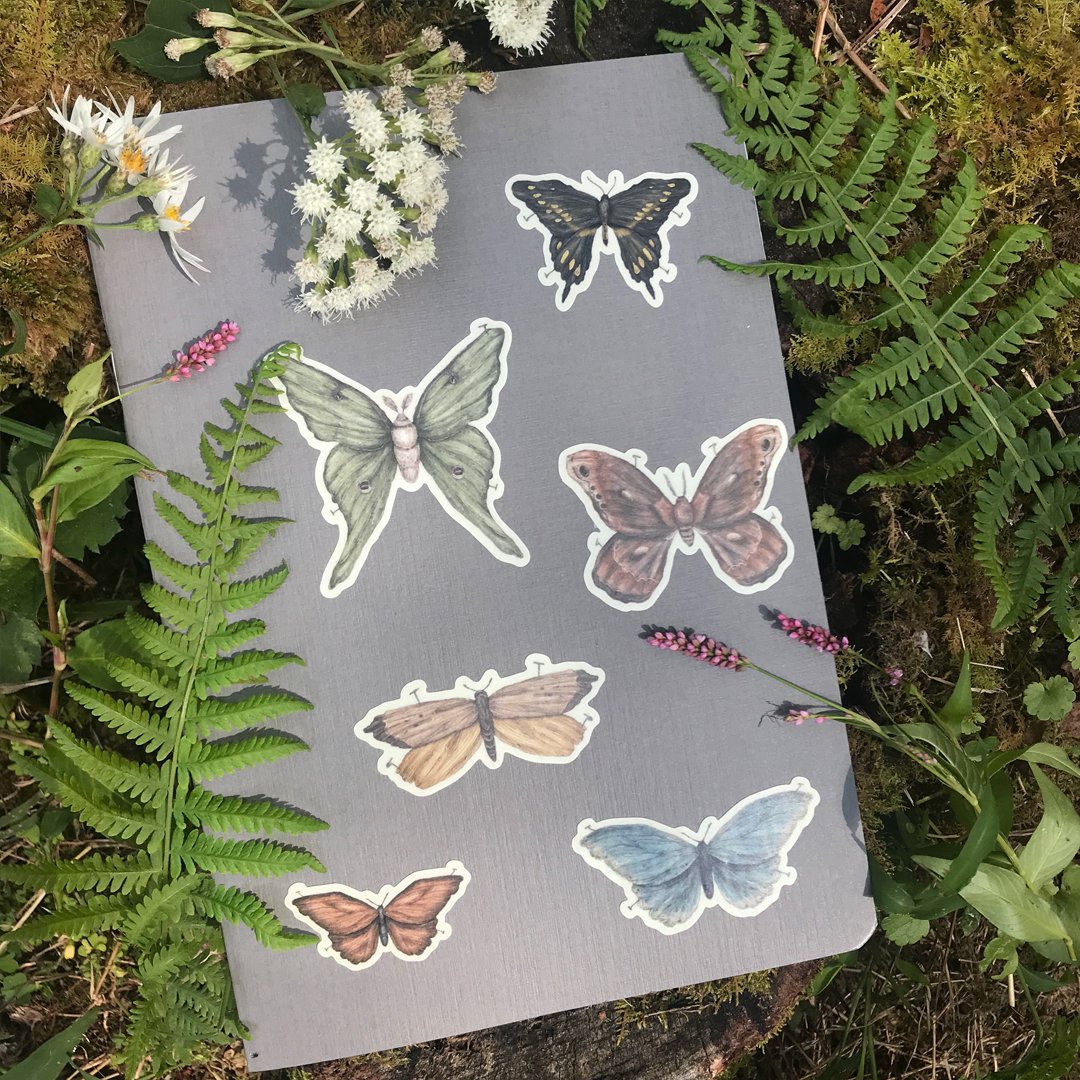 Image of Moths and Butterflies Sticker Sheet