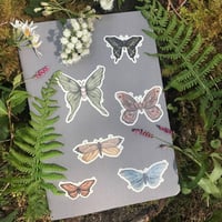 Image 2 of Moths and Butterflies Sticker Sheet