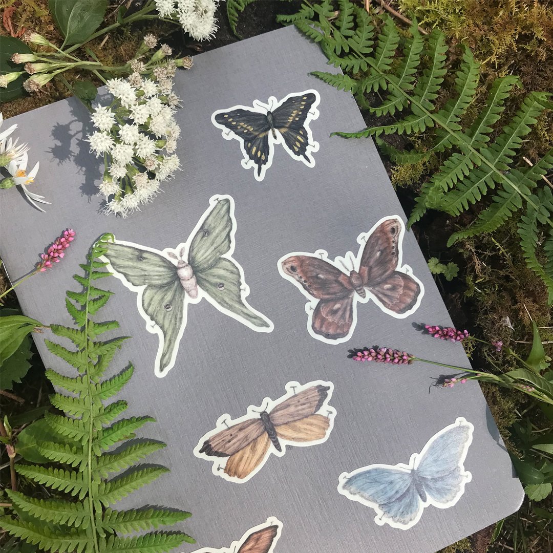 Image of Moths and Butterflies Sticker Sheet