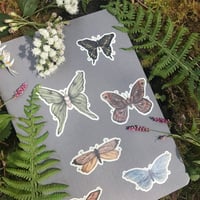 Image 3 of Moths and Butterflies Sticker Sheet