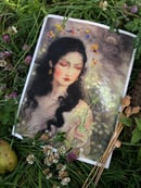 Image 2 of The Forager