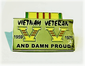 Image of Vietnam Veteran Damn Proud Pin