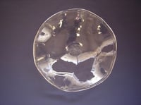 Image 1 of Replacement Dish (large)