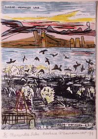 Image 1 of Menindee Lake