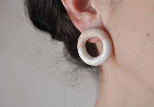 Image of TURBINELLA DISCO