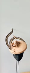 Henley Hat in Nude
