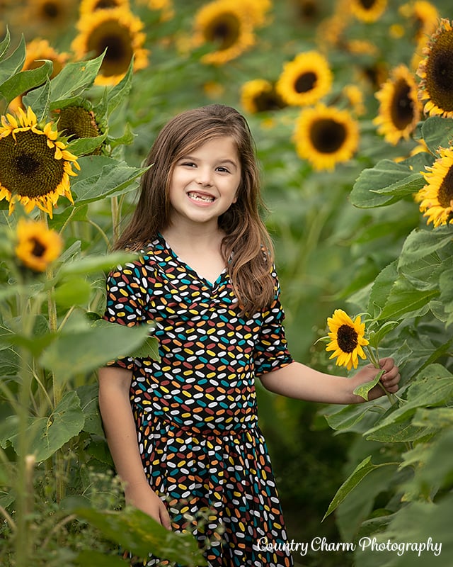 Image of Pumpkin Patch & Sunflower Minis