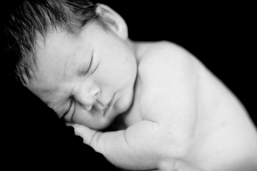 Image of Newborn Portrait Collection