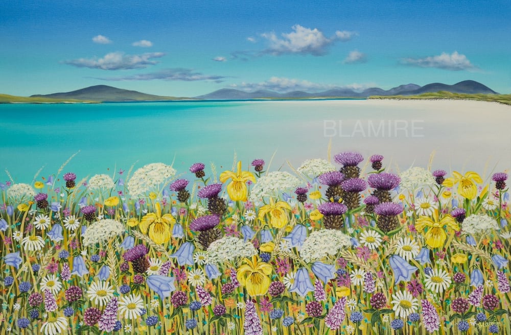 Image of Summer Clachan Sands Uist print