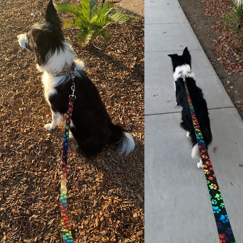 Image of Rainbow Paws Pet / Dog Leash for Medium to Large Size Animal - 4 Lengths (Short to Extra Long)