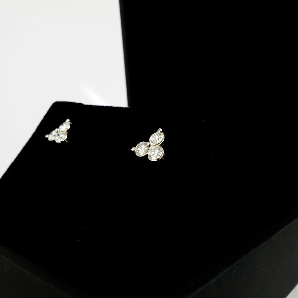 Image of 18ct white gold diamond stud earrings. PJ5766