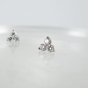 Image of 18ct white gold diamond stud earrings. PJ5766