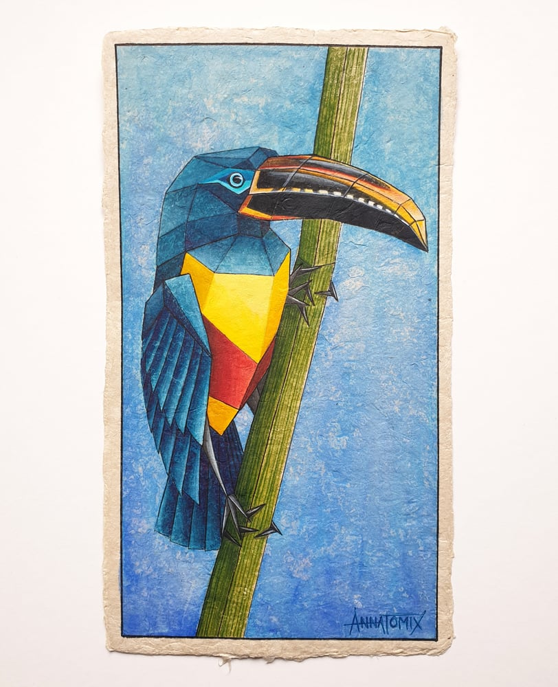 Image of "Aracari" original watercolour study 