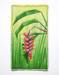 Image of "Hanging lobster claw" original watercolour study 