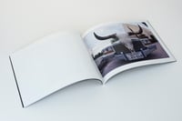 Image 4 of "Symmetric Pursuit" Photo Book