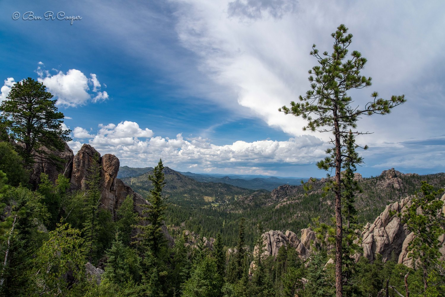 Black Hills View