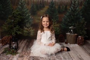 Image of Nov 23 | Snowy Forest + Family Portraits