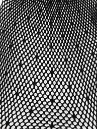 Image 4 of WOODPECKER DESIGN FISHNET STOCKINGS