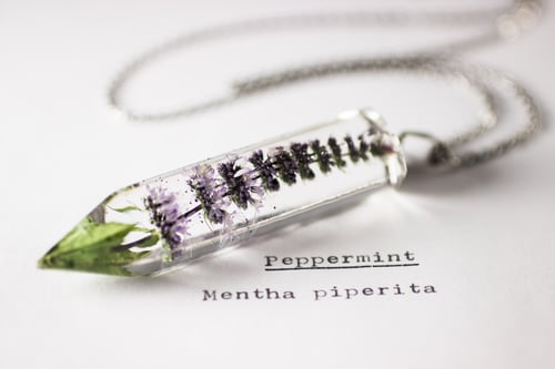 Image of Peppermint (Mentha piperita) - Large Crystalline Pendant #1