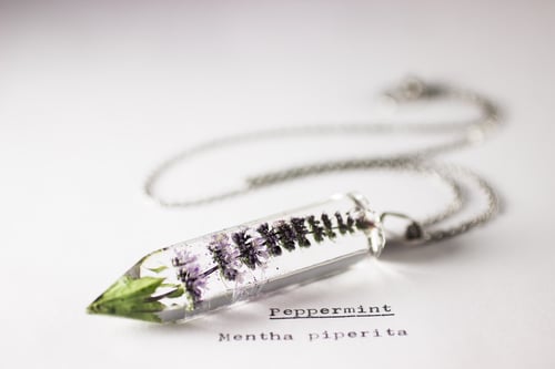 Image of Peppermint (Mentha piperita) - Large Crystalline Pendant #1