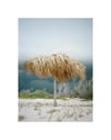 "LAST ONE ON THE ISLAND" 18 x 24 "PRINT