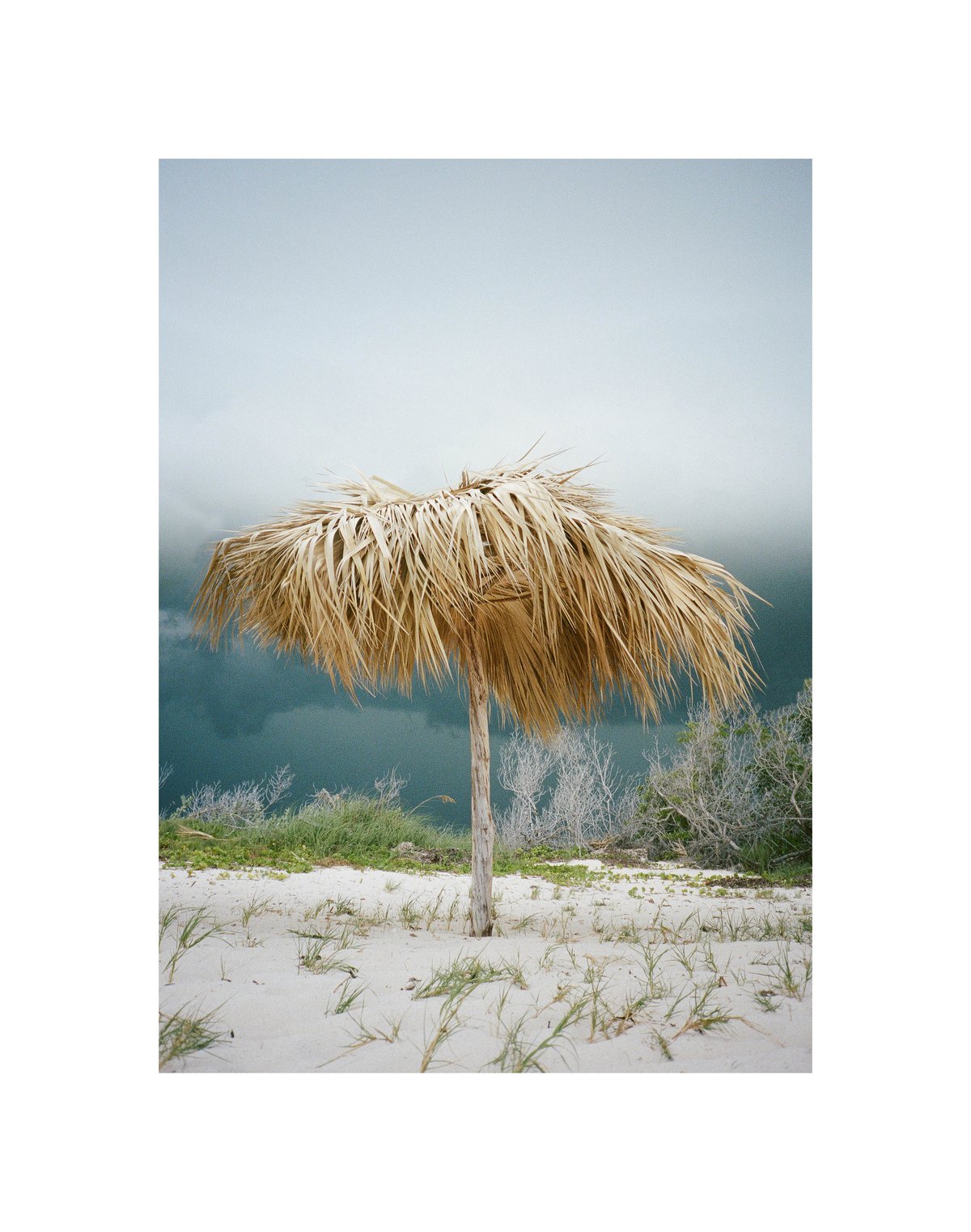 Image of "LAST ONE ON THE ISLAND" 18 x 24 "PRINT