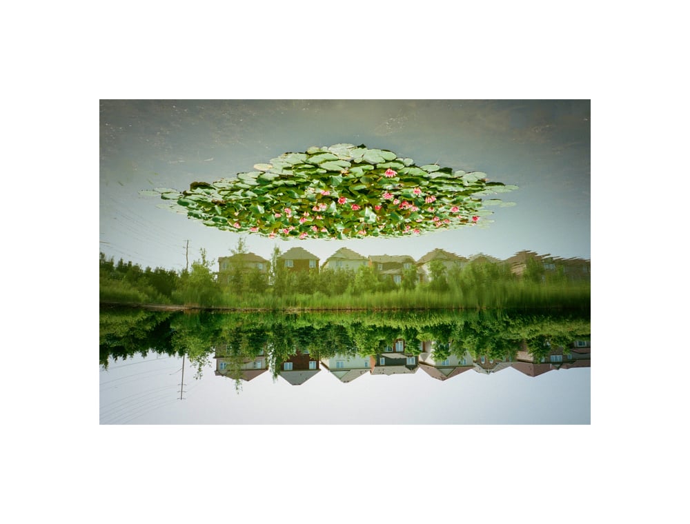 Image of "SUBURBAN DREAM" 16x24" PRINT
