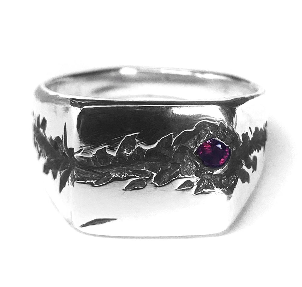 Image of The High Road