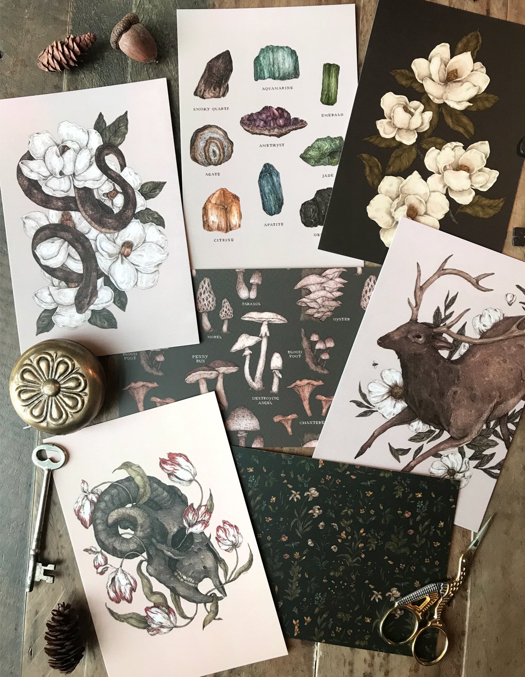 Postcards | Jessica Roux