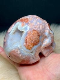 Image 6 of Druzy Pink Petal Agate Skull Carving #2240