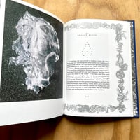 Image 5 of Bego Antón - The Earth Is Only A Little Dust Under Our Feet (Signed)