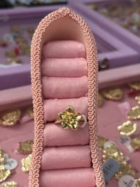 Hibiscus’s ring