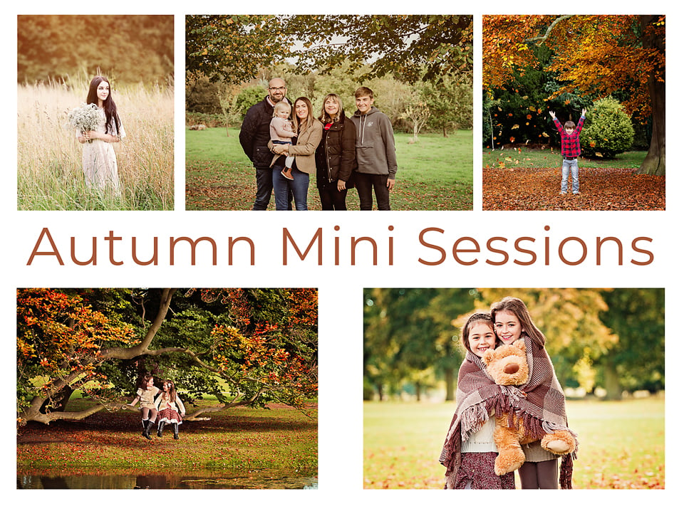 Image of Autumn Mini Sessions