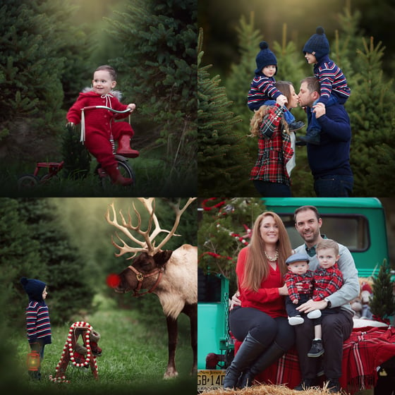 Christmas Mini Sessions Minneapolis Mn 2022 2022- Oct. 9Th Nov. 12Th, 13Th, 19Th 2022 Christmas Indoor Mini Session  With Santa Retainer | Daria Kielek Photography