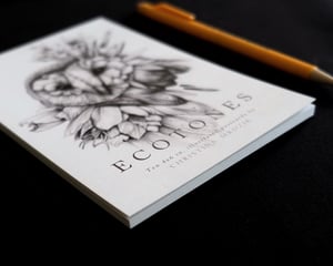 Ecotones Postcard Book - 10pk
