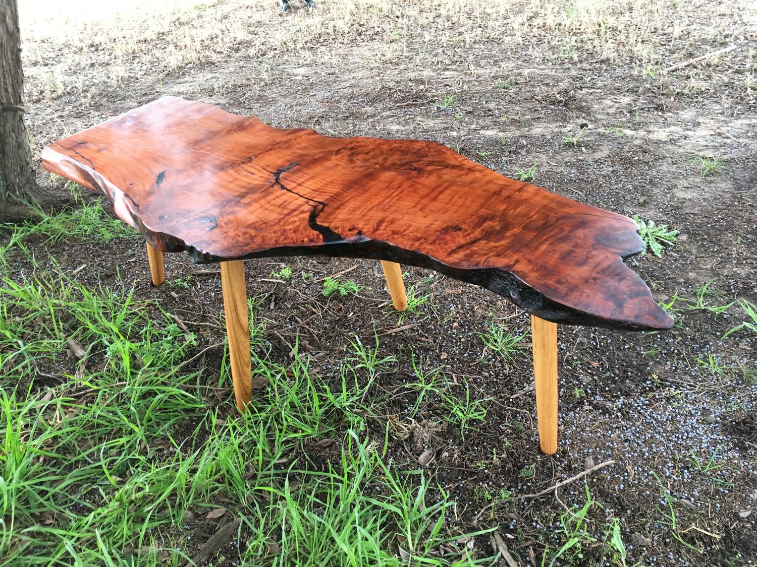 Image of Redwood Slab Coffee Table