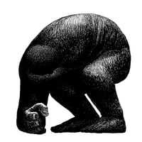 Image 3 of YOUNG MARBLE GIANT t-shirt by JaeHoon Choi 