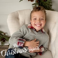 Image 3 of 2024 Studio Christmas Mini Sessions~$250