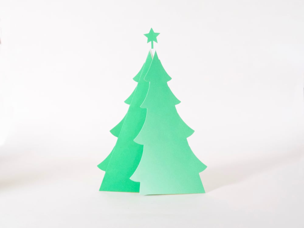 Image of 2 x Festive Forest