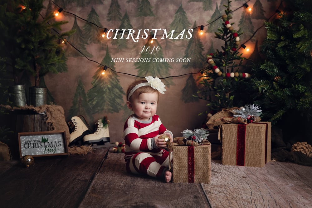 Christmas Mini Bare Baby Photography