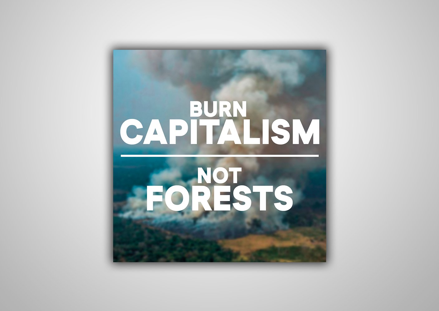 Image of 100 Autocollants "BURN CAPITALISM NOT FOREST"