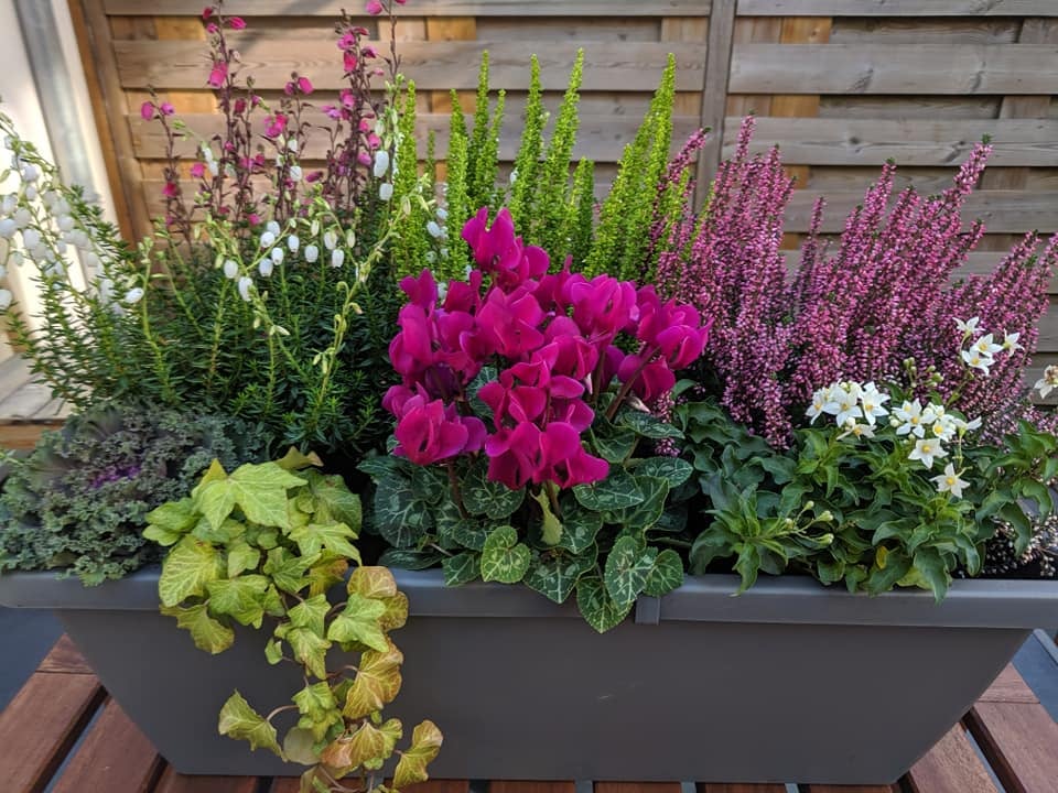 Image of September Rhapsody Large Window Box 