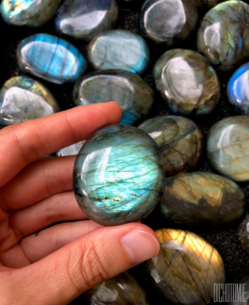 Image of Pluto’s Orbit Pendant Deluxe Bundle