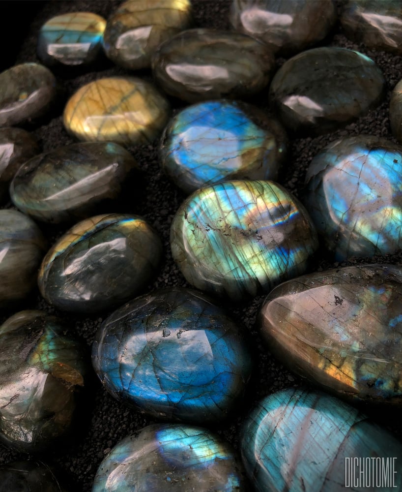 Image of Pluto’s Orbit Earrings Deluxe Bundle
