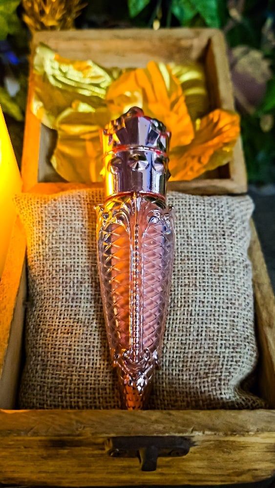 👑The Armored Kingdom Royal Radiance Skin Tone Red Lip Gloss