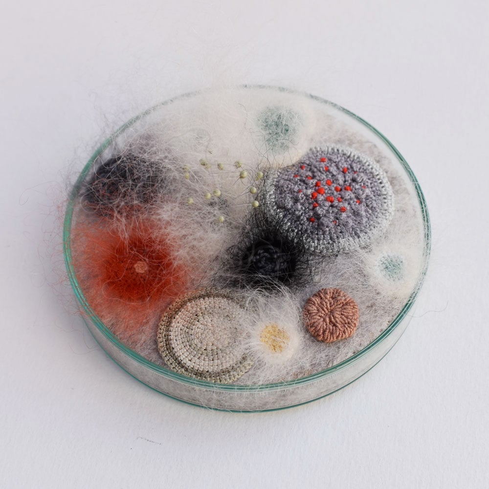 Image of Made to order petri dish