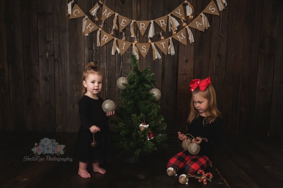 Image of Christmas Mini Session 11.9.19